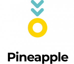 Pineapple Insurance Company - FintechDiscovery